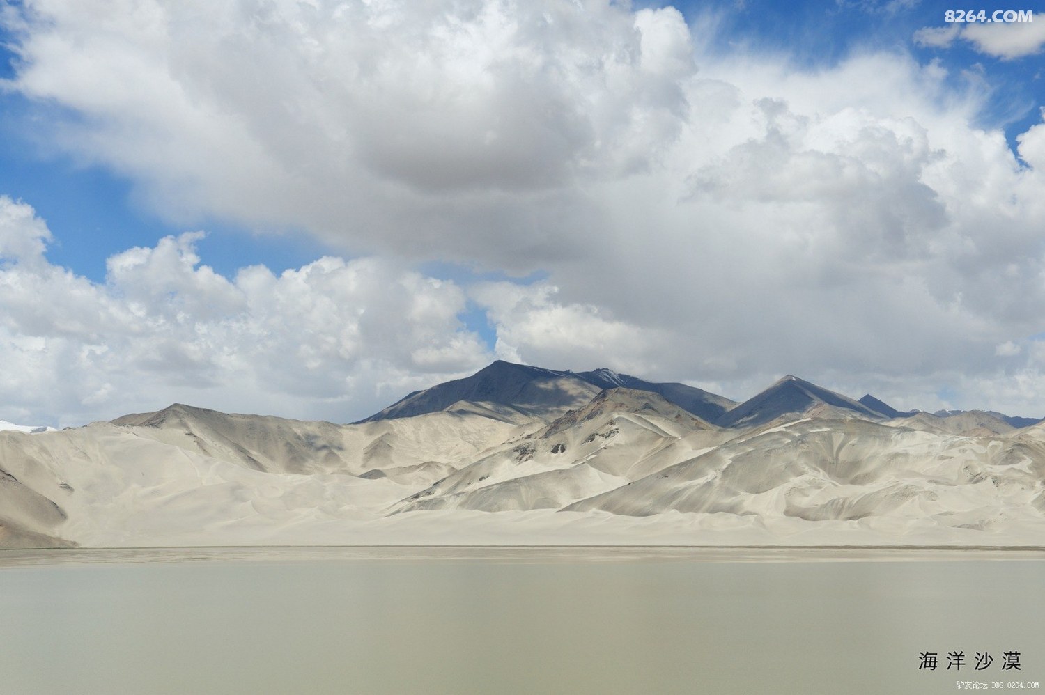 6-DSC_2486.jpg