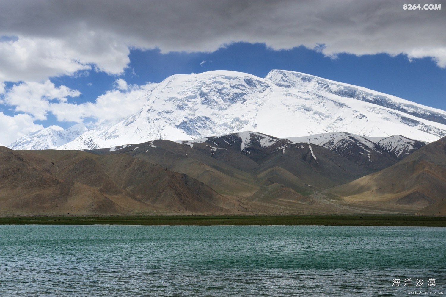 7-DSC_2498.jpg