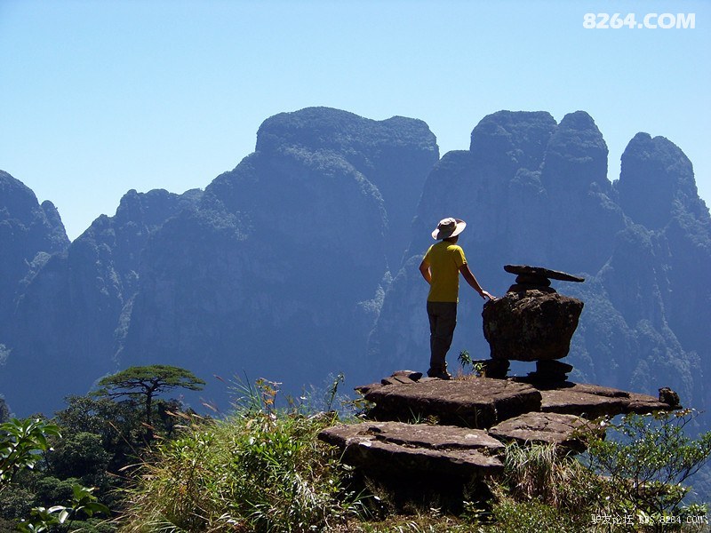 050.jpg