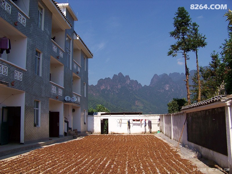 118.jpg