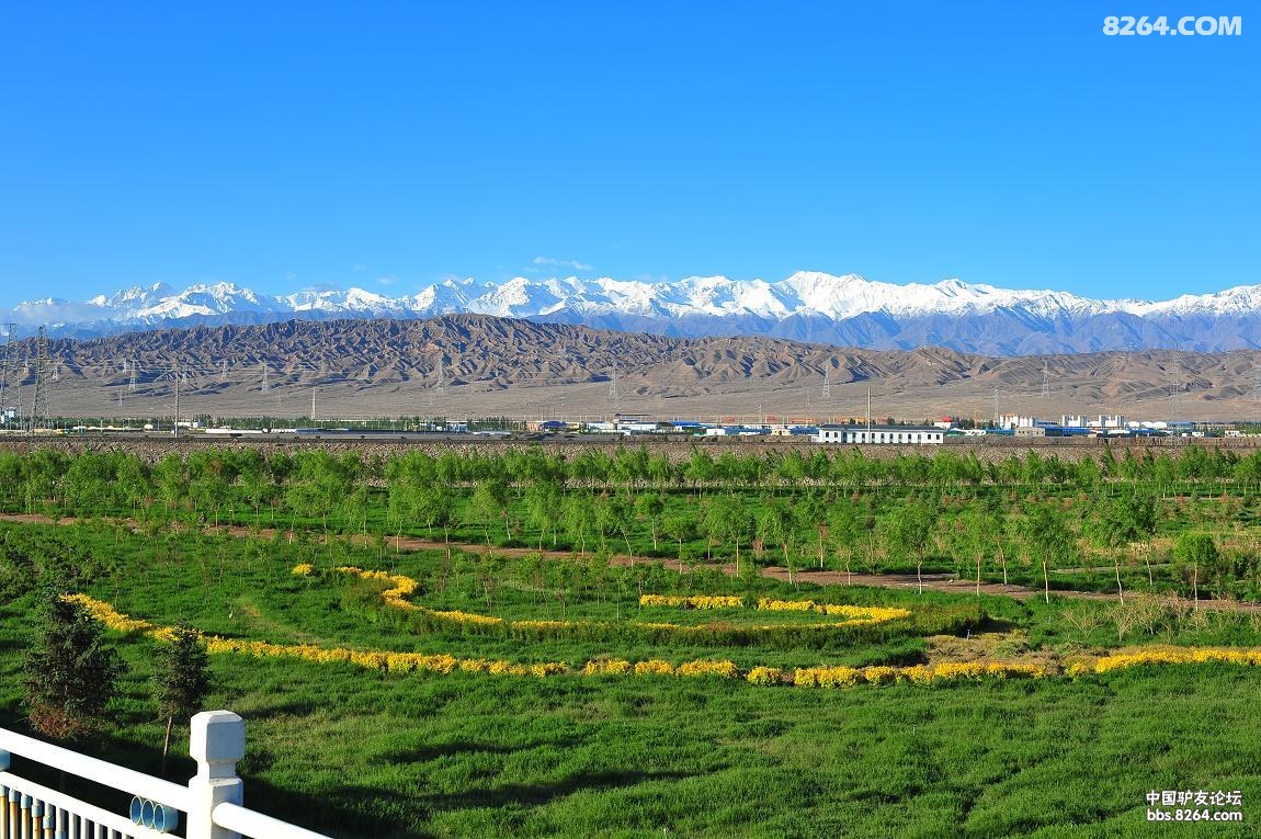 ��ѩɽҲϲ�������� 0400.JPG