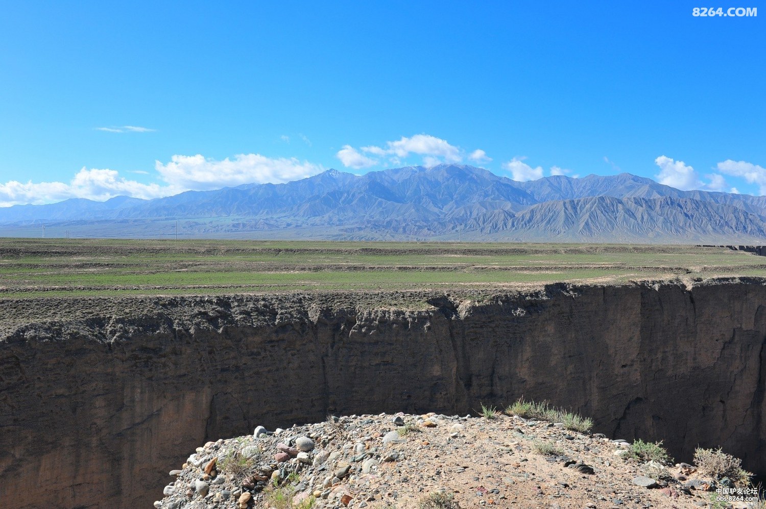 ��ѩɽҲϲ�������� 11275.jpg