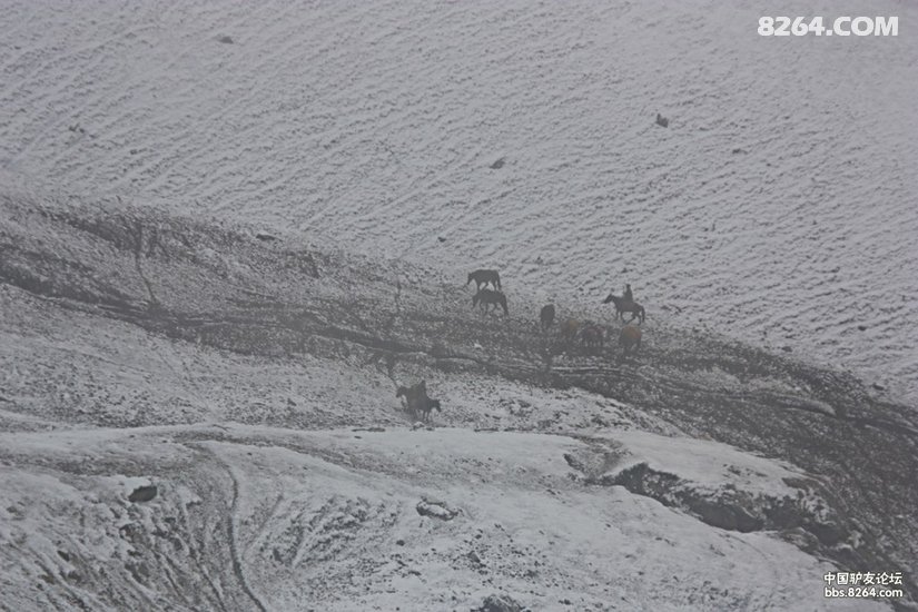 09543424uf14u2zg4gljuc - 徒步登山 穿越攀岩 雪山步道 户外路线 在野 去没有天花板的地方