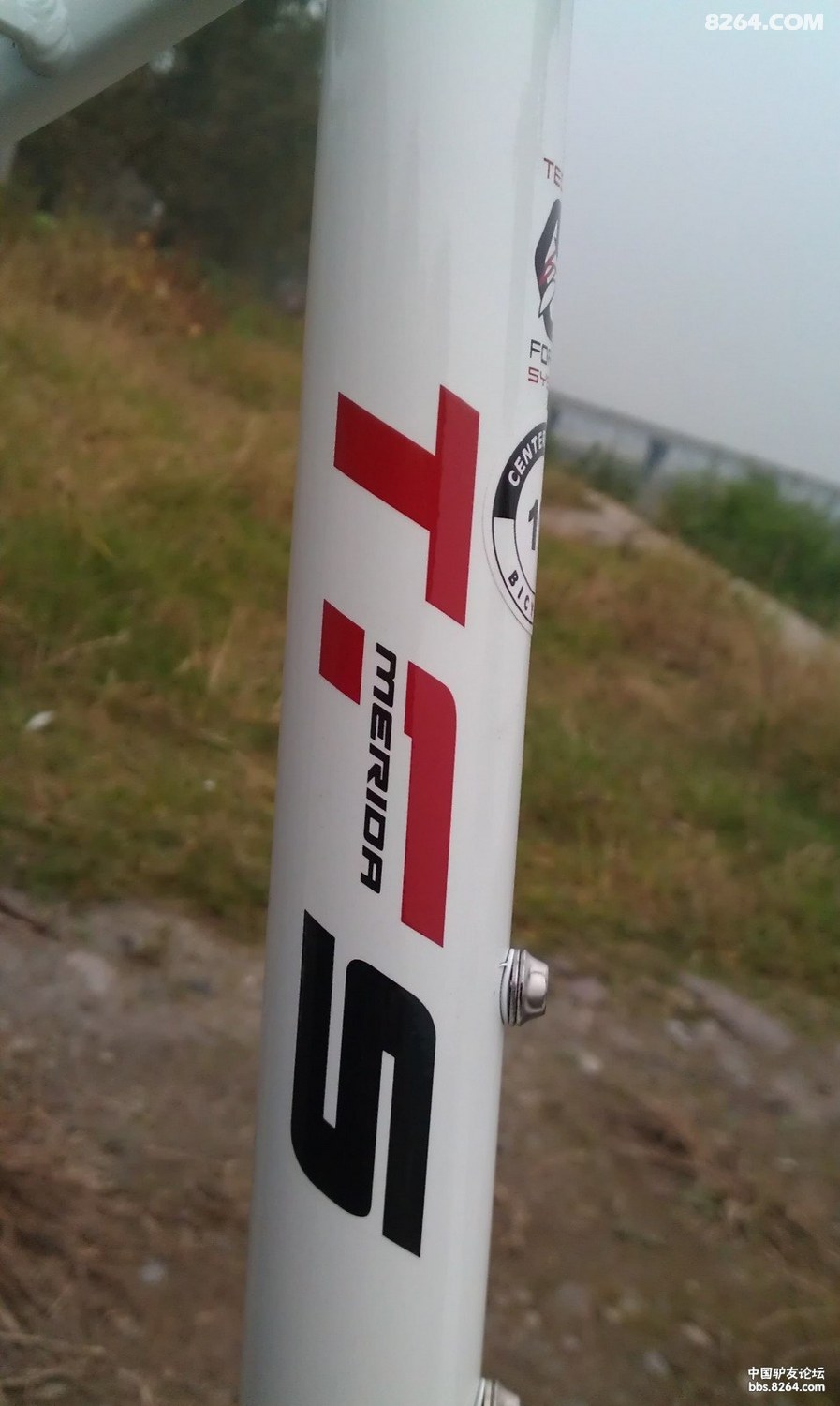IMAG0605.jpg
