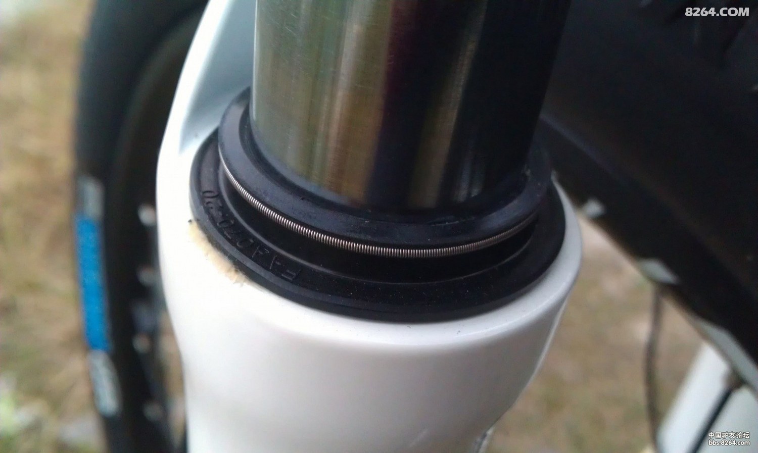IMAG0616.jpg