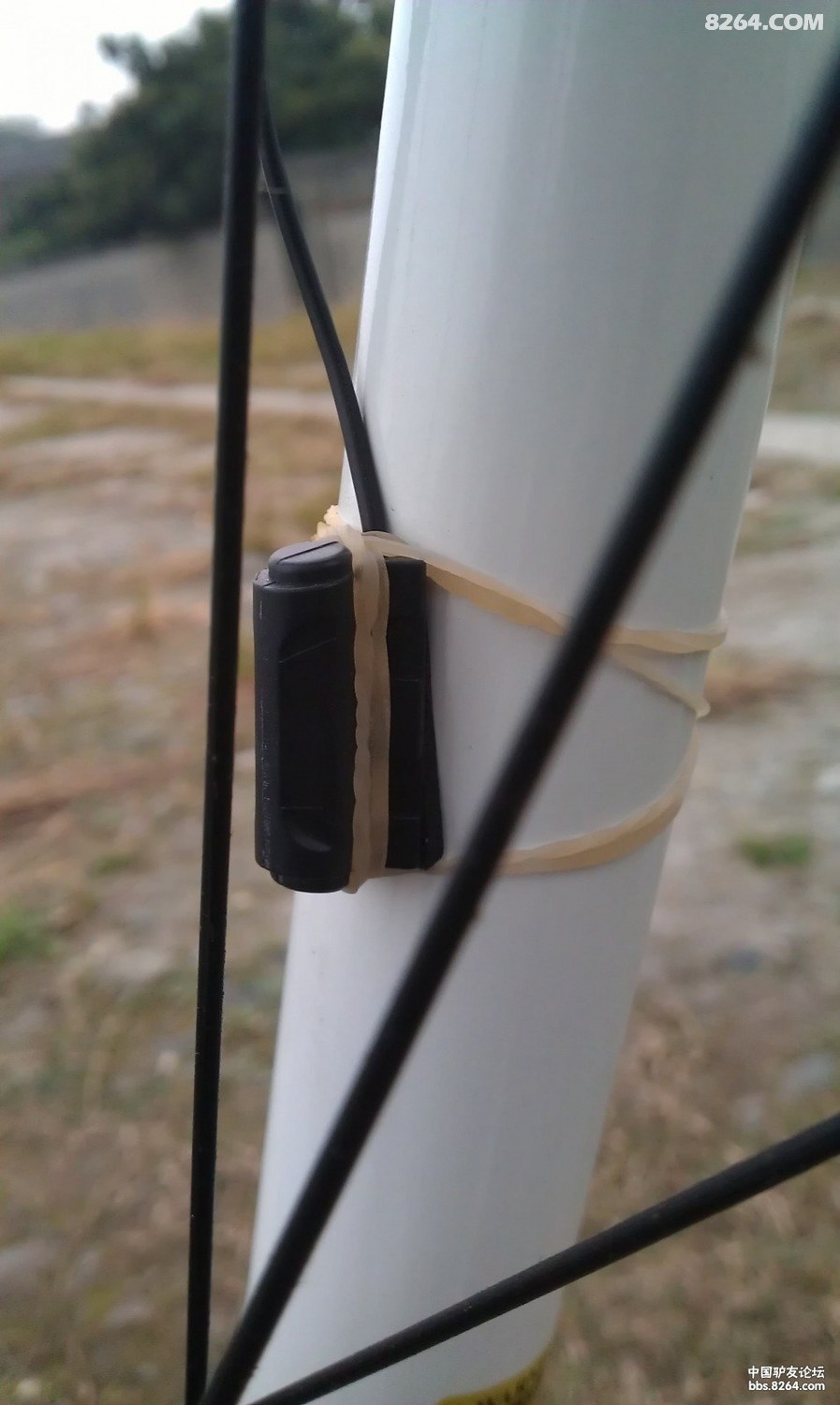 IMAG0621.jpg