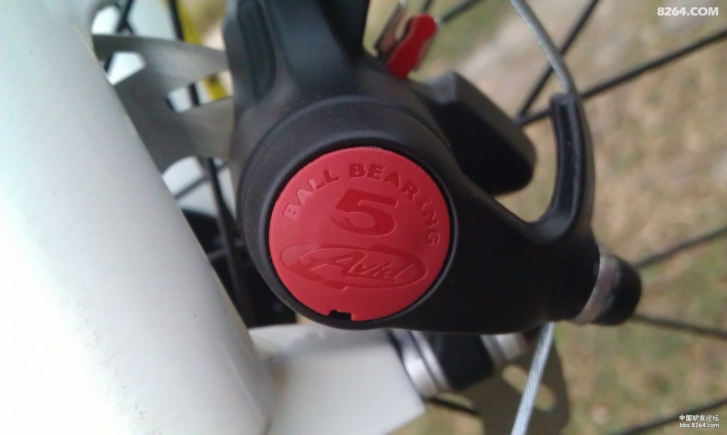 IMAG0622.jpg