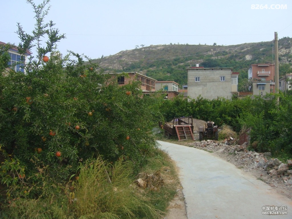 ���а��� 141.jpg