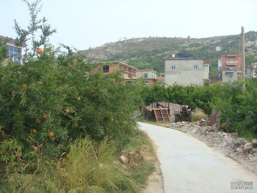 ���а��� 139.jpg