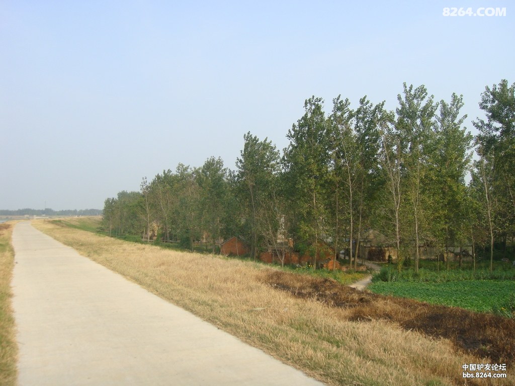 ���а��� 226.jpg