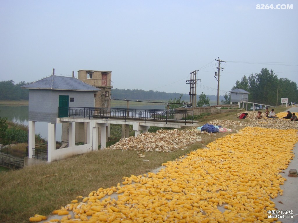 ���а��� 268.jpg