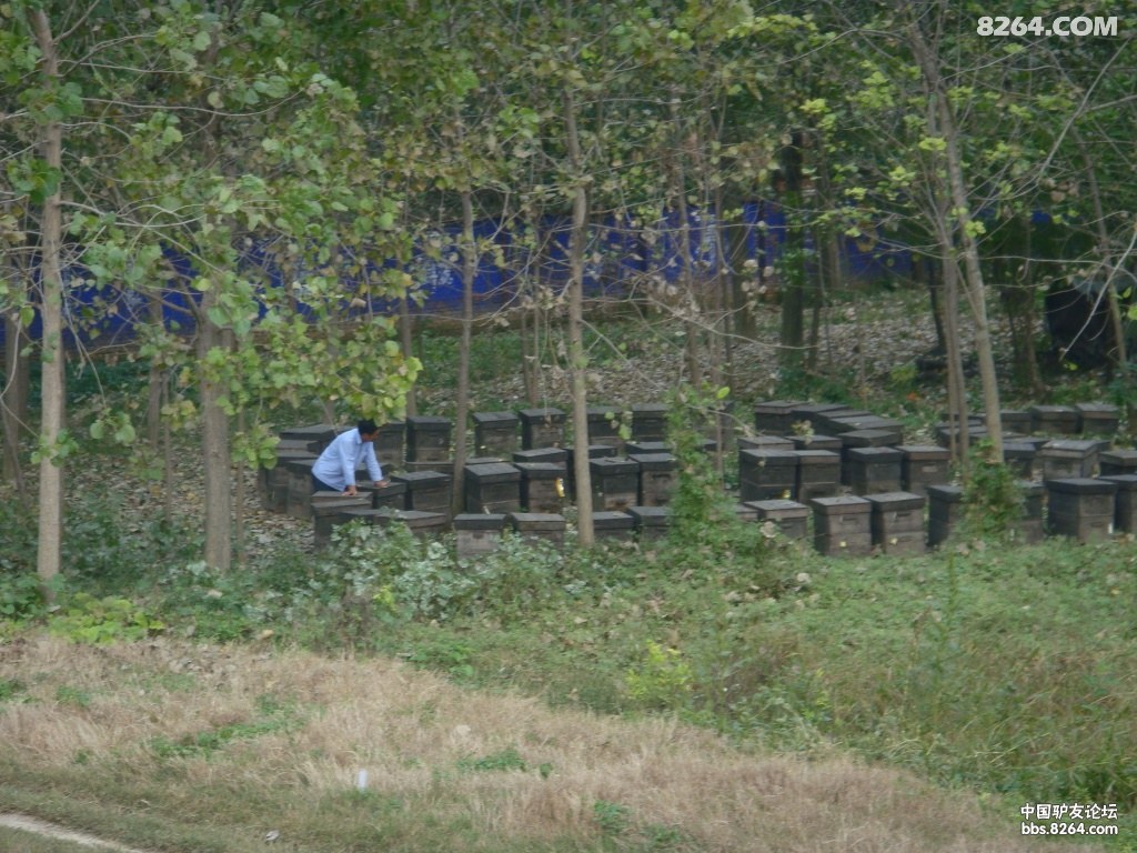 ���а��� 252.jpg