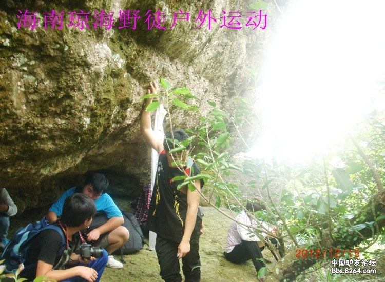 CIMG5640.jpg