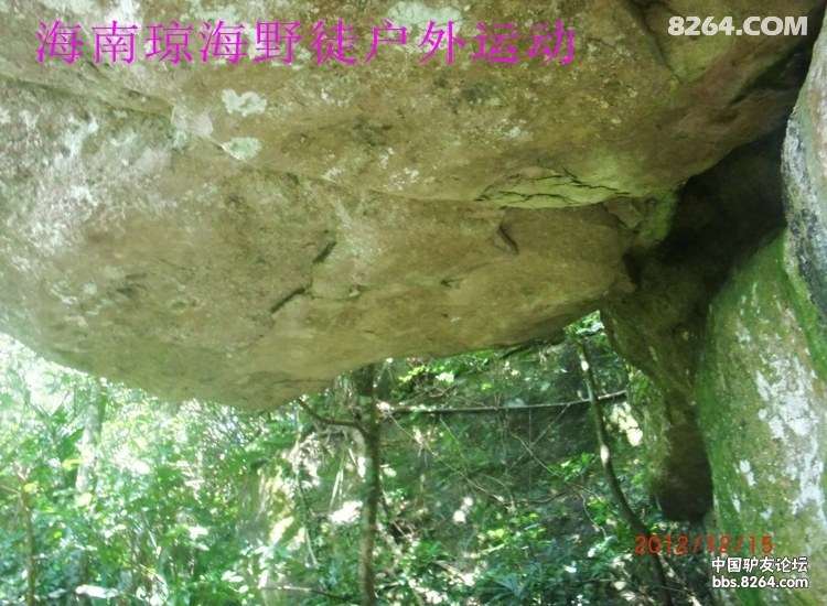 CIMG5650.jpg