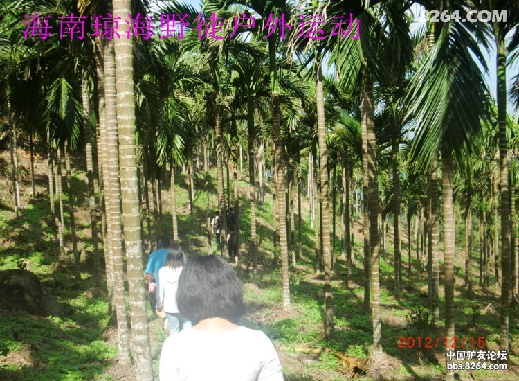 CIMG5652.jpg