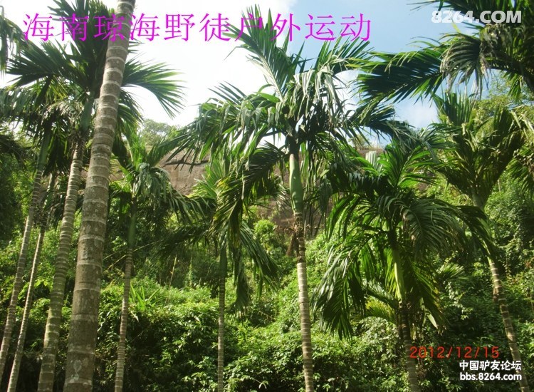 CIMG5653.jpg
