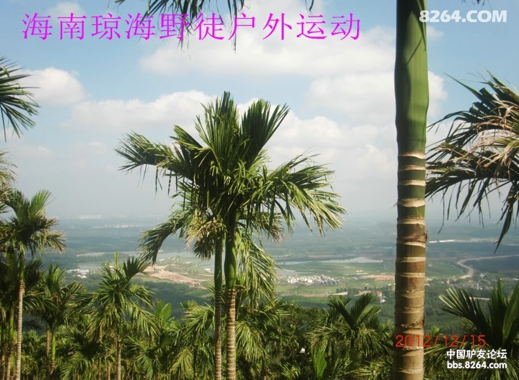 CIMG5654.jpg