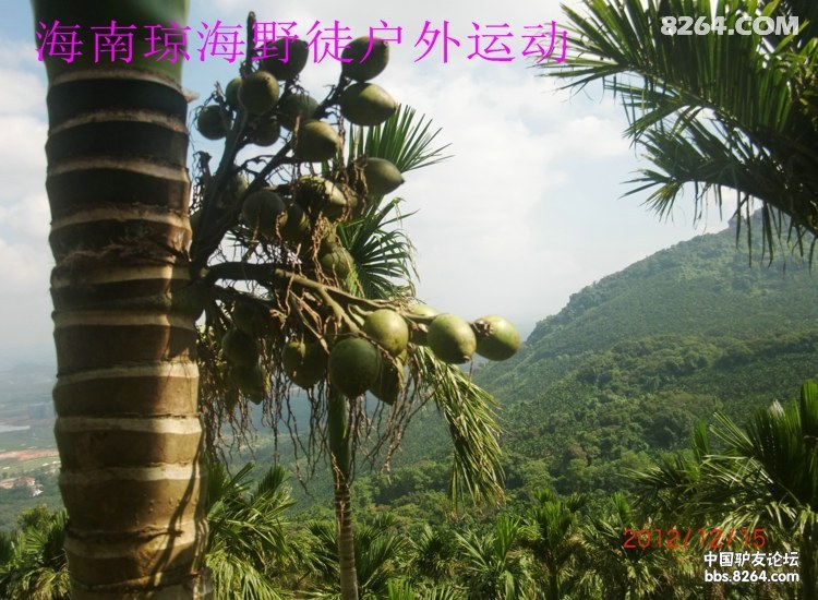 CIMG5656.jpg