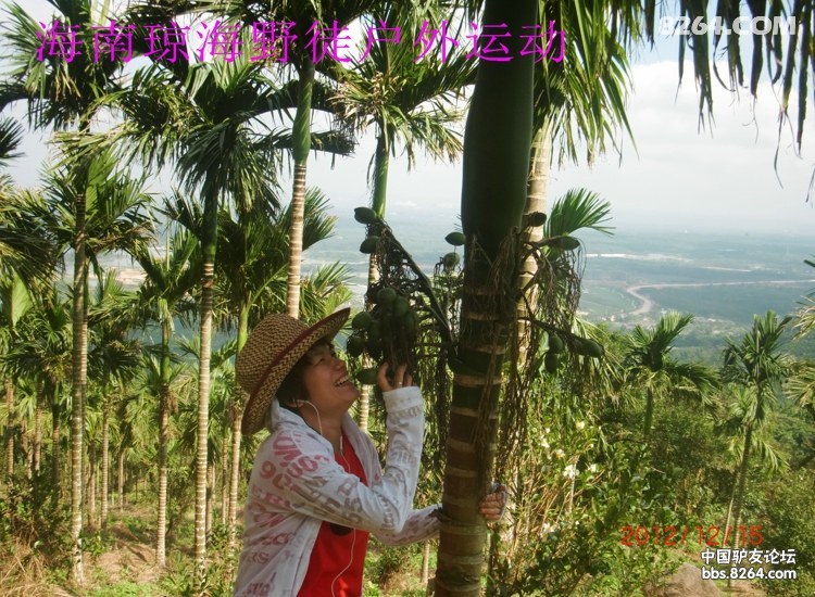 CIMG5658.jpg