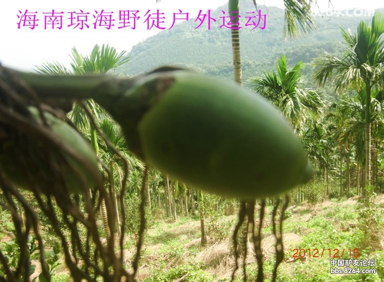 CIMG5659.jpg