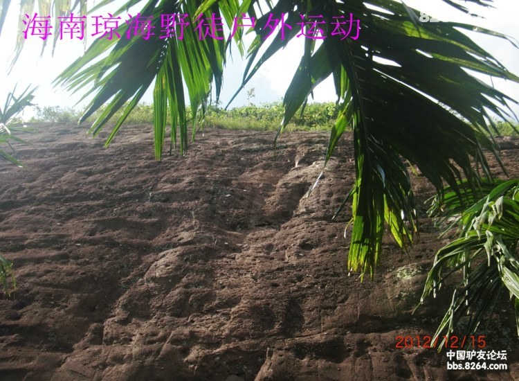 CIMG5668.jpg