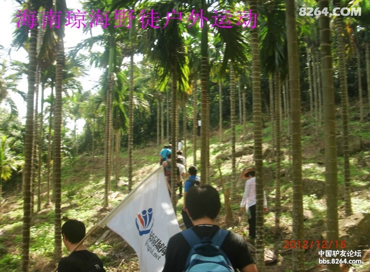 CIMG5669.jpg