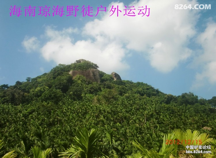 CIMG5677.jpg