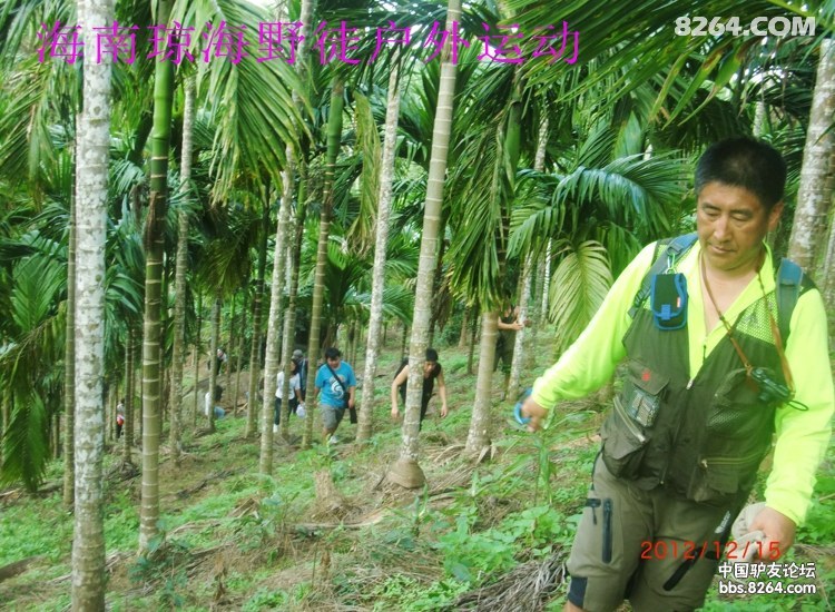 CIMG5678.jpg