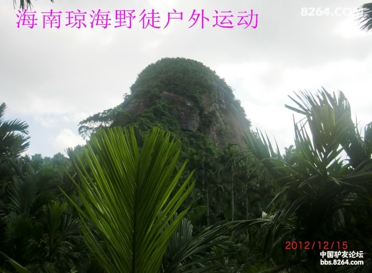 CIMG5679.jpg