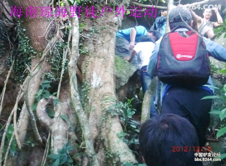 CIMG5682.jpg