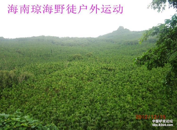 CIMG5684.jpg