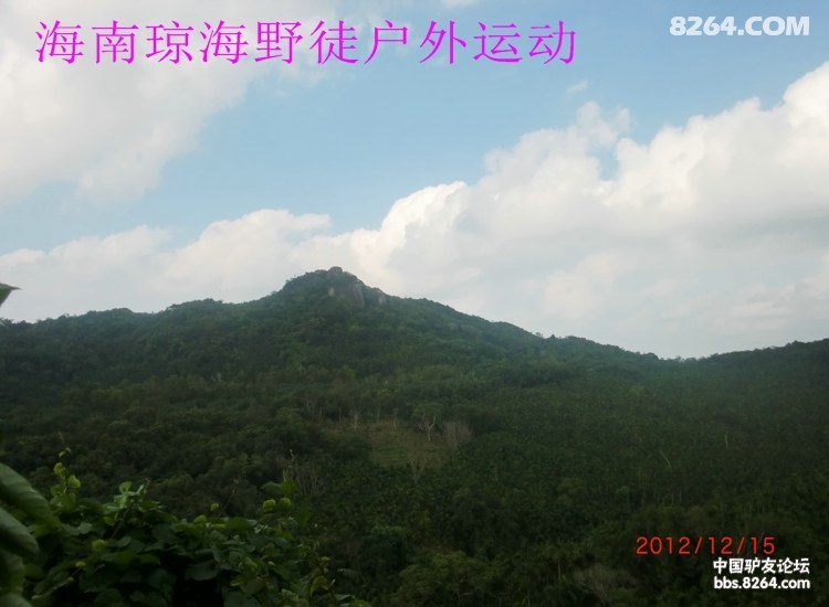 CIMG5685.jpg