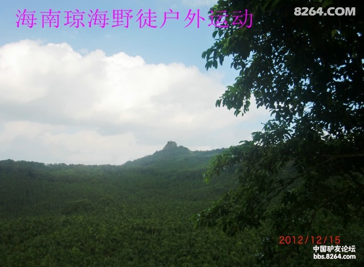 CIMG5686.jpg