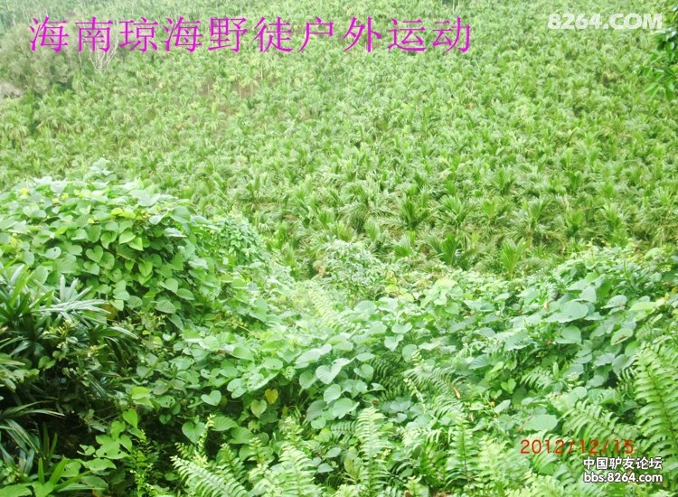 CIMG5687.jpg