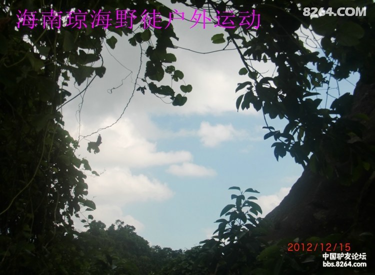 CIMG5688.jpg