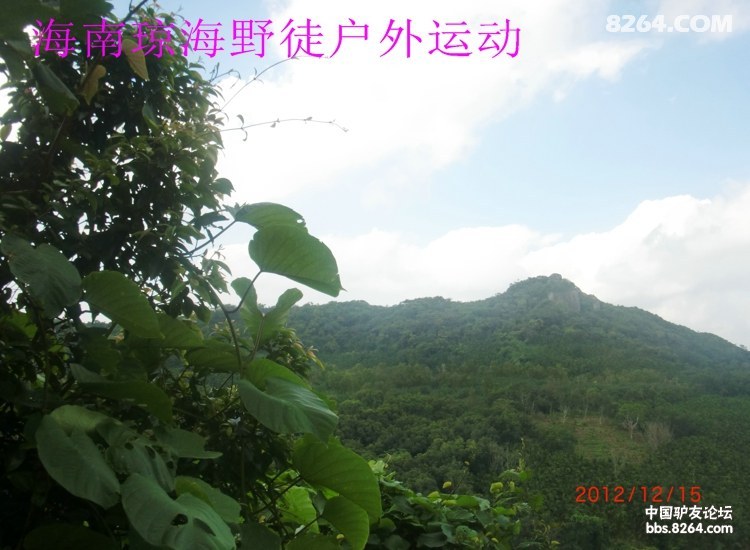 CIMG5689.jpg