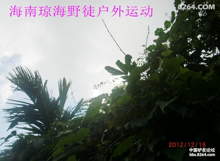 CIMG5691.jpg