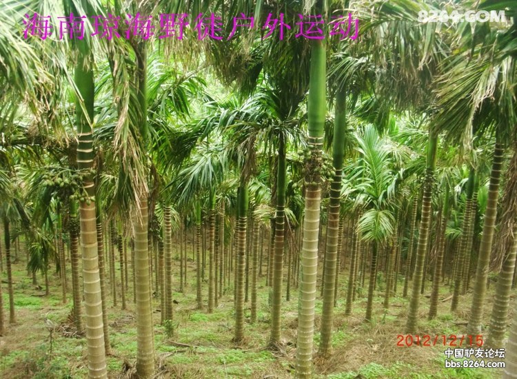 CIMG5692.jpg