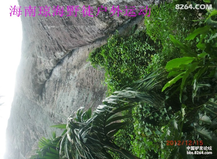 CIMG5695.jpg