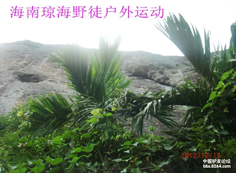 CIMG5697.jpg