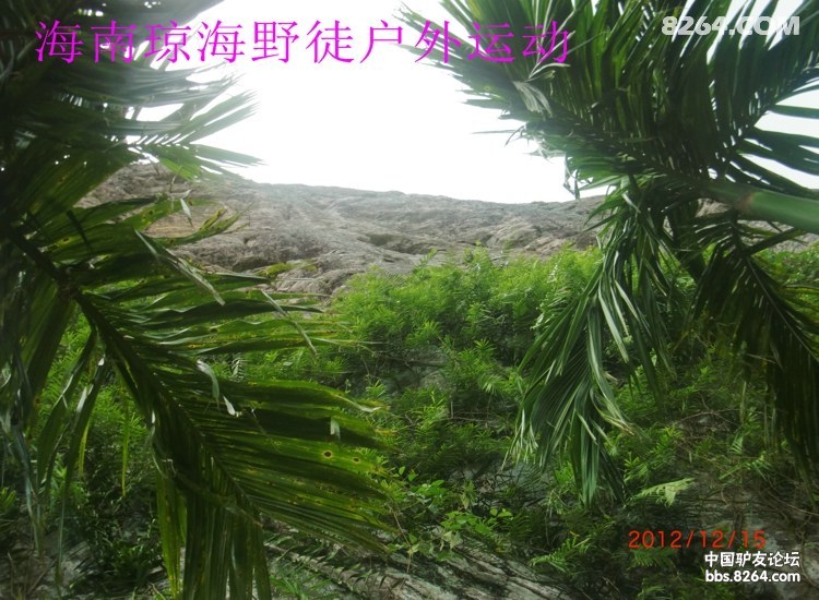 CIMG5700.jpg