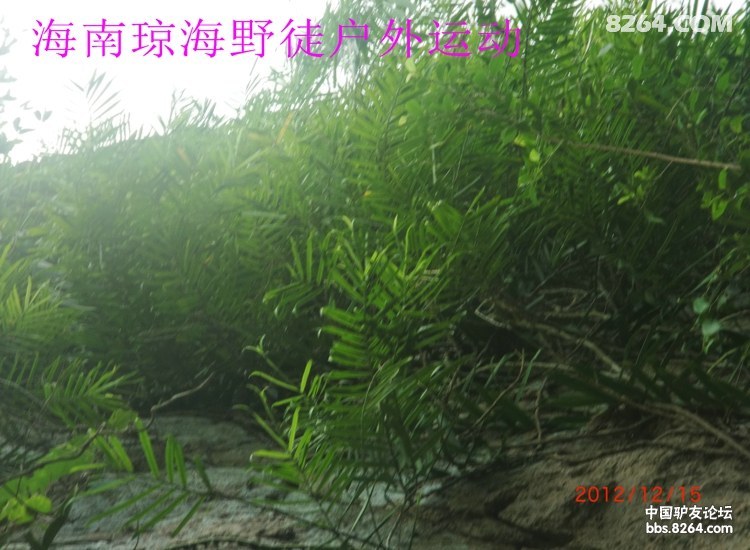 CIMG5702.jpg
