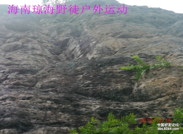 CIMG5703.jpg