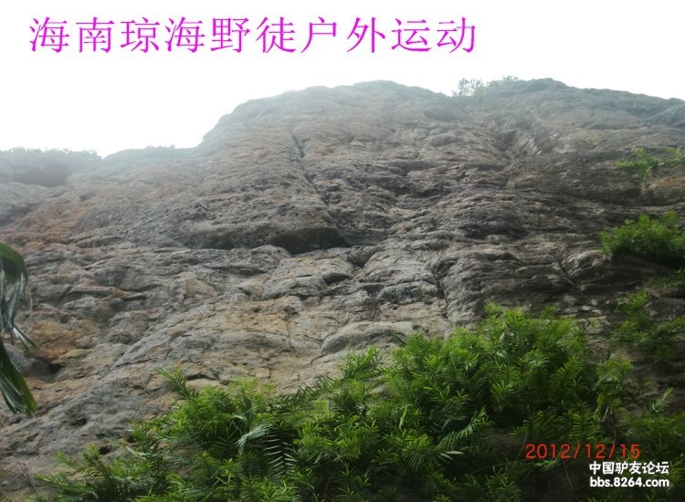 CIMG5705.jpg