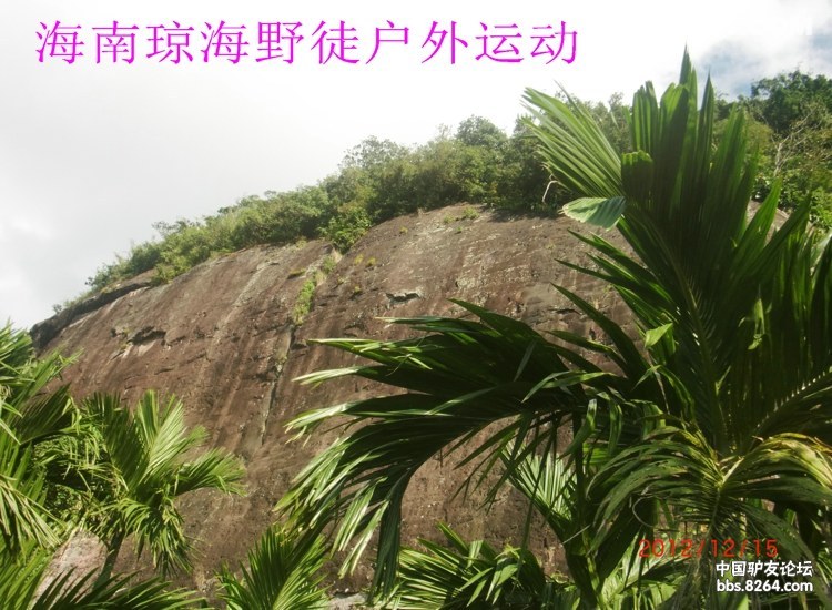CIMG5707.jpg