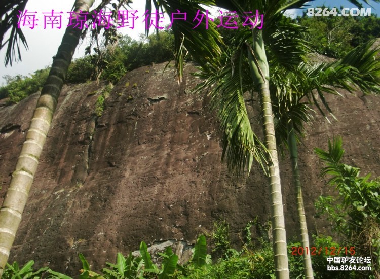 CIMG5708.jpg