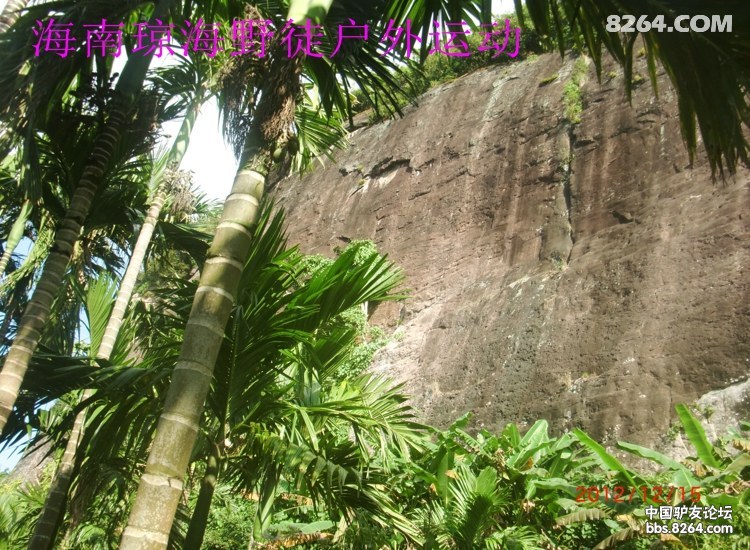 CIMG5709.jpg