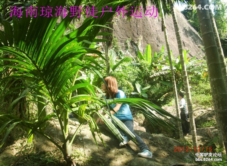 CIMG5713.jpg