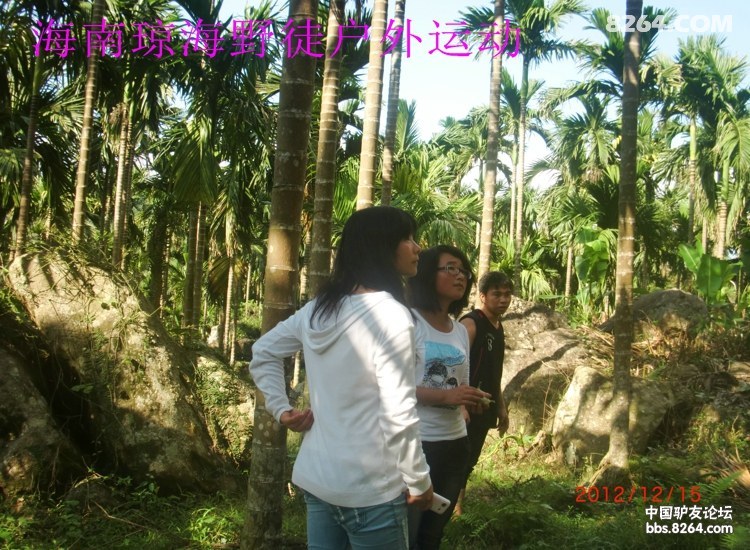 CIMG5716.jpg