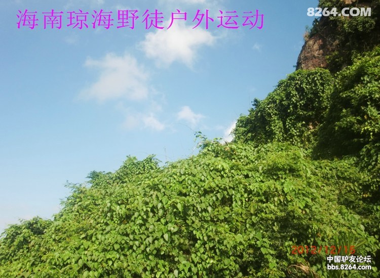 CIMG5721.jpg